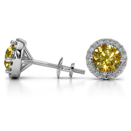 Feliz 2.00 CTW Yellow Moissanite Halo Stud Earrings