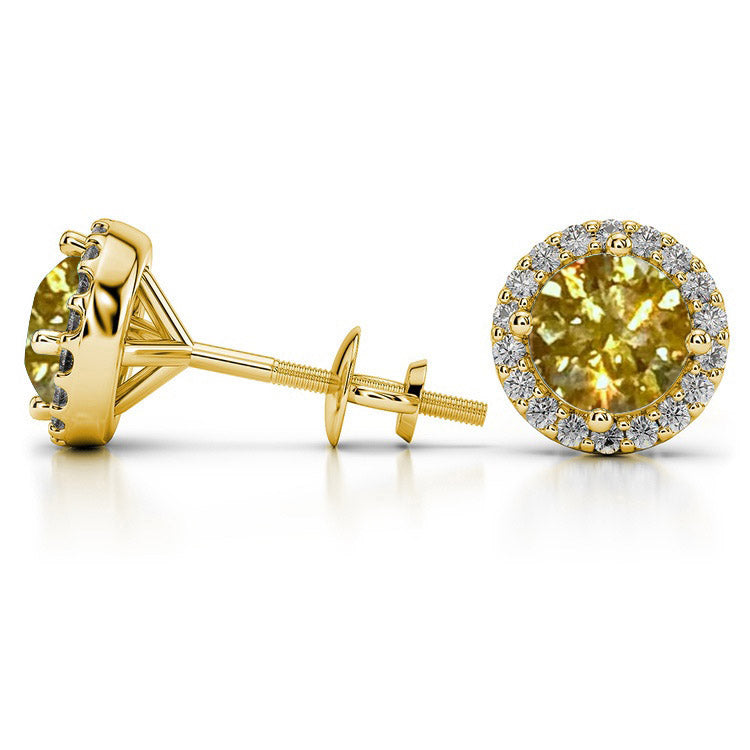 Feliz 2.00 CTW Yellow Moissanite Halo Stud Earrings