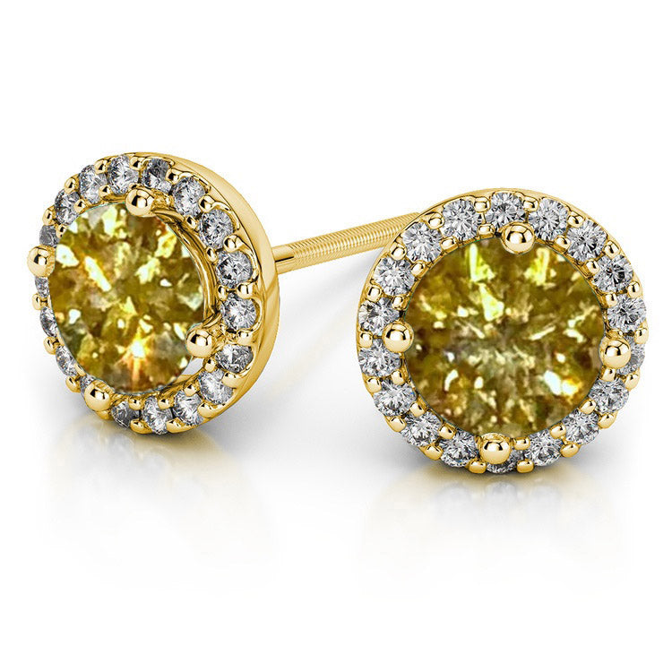 Feliz 2.00 CTW Yellow Moissanite Halo Stud Earrings