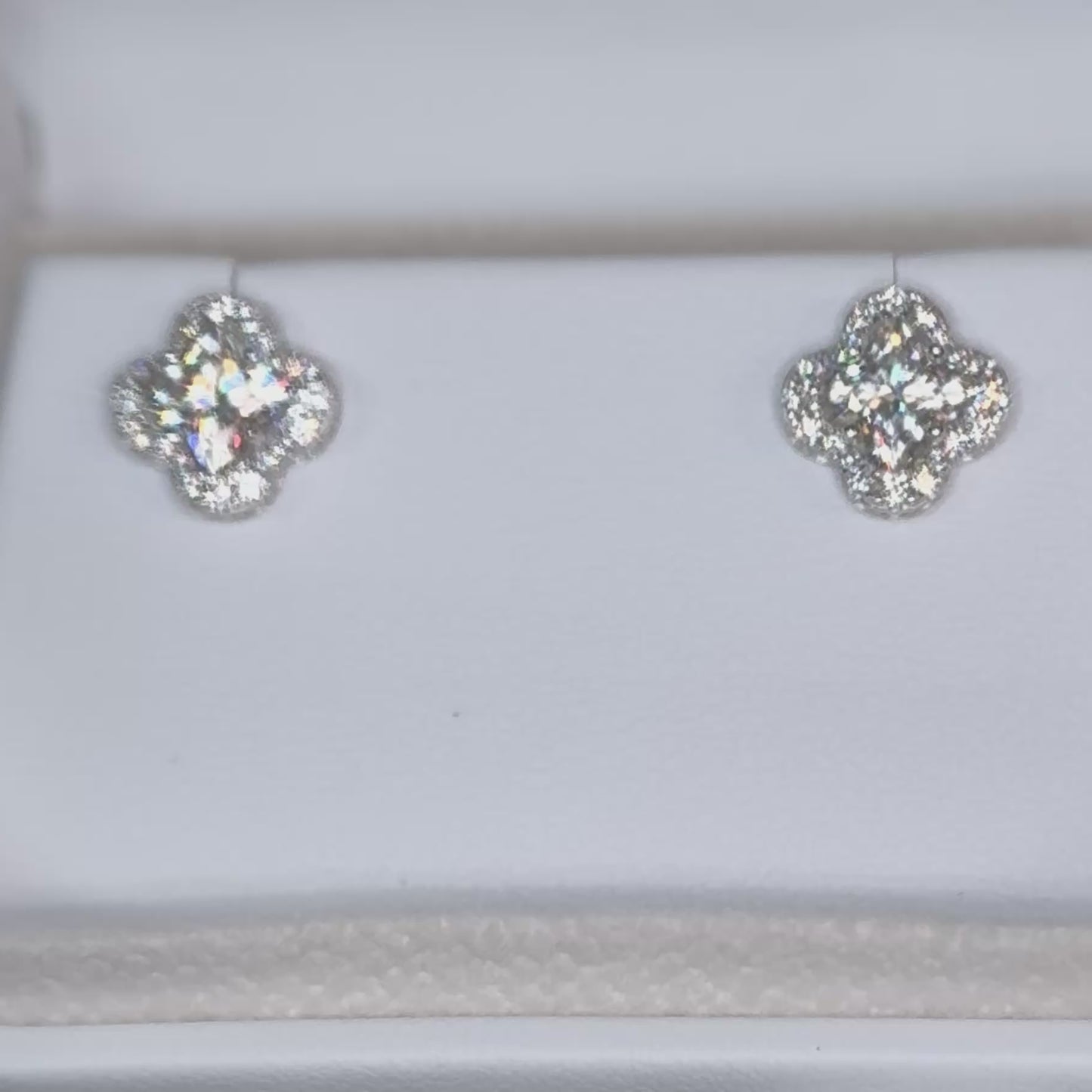 Posha 3.20 CTW Moissanite Clover Cut Halo Earrings